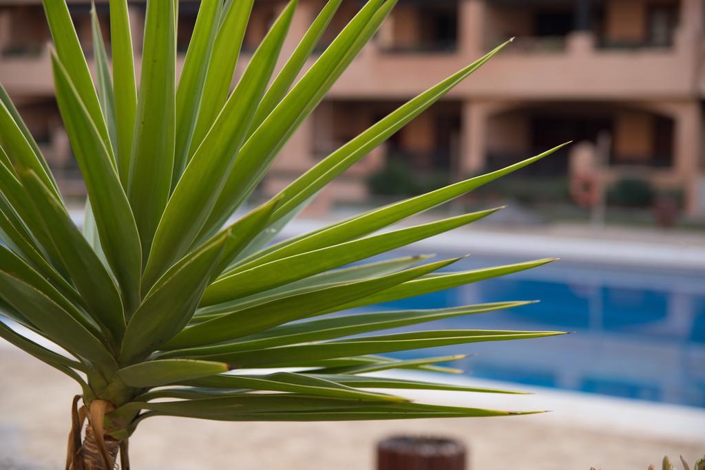 אלמרימר Apartamentos Turisticos Spiritmar מראה חיצוני תמונה